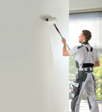 Wenn aus Kartoffelstärke Farbe wird: Ein Naturprodukt für die Wand Wenn aus Kartoffelstärke Farbe wird: Ein Naturprodukt für die Wand