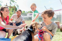 Familienzuwachs aus dem Tierheim: So fühlen sich Hund und Katze schnell rundum wohl Familienzuwachs aus dem Tierheim: So fühlen sich Hund und Katze schnell rundum wohl