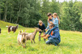Bildunterschrift: Tiere hautnah erleben – das können Familien im Tierpark Rheinböllen. Foto: Dominik Ketz/Hunsrück-Touristik GmbH/akz-o