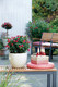 Bildunterschrift: Das Must-Have für jede Rosen-Terrasse. Foto: zu Jeddeloh Pflanzenhandels GmbH/akz-o