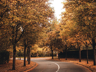 Herbst auf der Straße: Jetzt ist besondere Vorsicht gefragt
