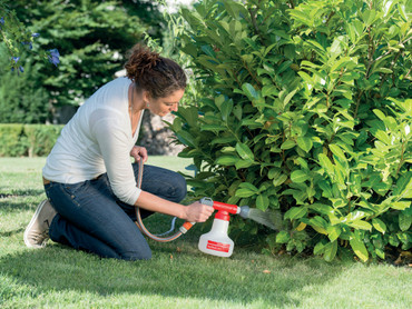 Wer frisst denn da? Mit Nematoden gegen Schädlinge im Garten