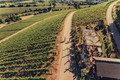 Bildunterschrift: Weinradeln HeilbronnerLand Foto: Touristikgemeinschaft HeilbronnerLand/Chris Frumolt/akz-o