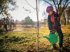 Der Herbst eignet sich hervorragend für neue Pflanzungen, da die Temperaturen noch gemäßigt und der Boden noch warm ist. So können die neuen Pflanzen gut anwurzeln vor dem Winter. Foto: YouraPechkin/stock.adobe.com/Bund deutscher Baumschulen (BdB) e.V./akz-o