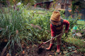 Bildunterschrift: Wenn der Sommer zu Ende geht, ist im Garten noch lange nicht Schluss. Foto: Halfpoint/stock.adobe.com/Bund deutscher Baumschulen e. V./akz-o