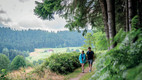 Bildunterschrift: Schwarzwaldidyll im Sulzbachtal bei Lauterbach Foto: Dietmar Denger/Landkreis Rottweil/akz-o