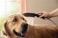 Bildunterschrift: Saubere Fellnase – sauberes Zuhause: Ein separater „Mudroom“ in Kombination mit der hansgrohe DogShower macht die Reinigung tierfreundlich und hygienisch. Foto: hansgrohe/Hansgrohe SE/akz-o