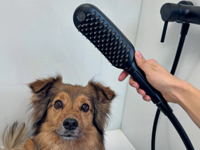 Äußerst praktisch für quirlige Vierbeiner und ihre Hundebesitzer: ein separater Mini-Duschbereich mit der hansgrohe DogShower. Foto: hansgrohe/Hansgrohe SE/akz-o