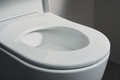 Bildunterschrift: Bequem und praktisch: Der WC-Sitz bietet durch seine optimierte Ergonomie besonders angenehmen Sitzkomfort. Dank Schnellverschlussfunktion lässt sich der Sitz schnell abnehmen und wieder aufsetzen, was die Reinigung vereinfacht. Foto: Duravit AG/akz-o