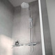 Bildunterschrift: Thermostatarmaturen für Duschen helfen Energie zu sparen: An ihnen werden Höchst- und Durchschnittstemperatur des Wassers festgelegt, die dank des eingebauten Messfühlers konstant gehalten werden. Foto: Keuco/Plan blue/akz-o