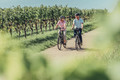 Bildunterschrift: Radfahrer auf dem Württemberger Weinradweg Foto: Touristikgemeinschaft HeilbronnerLand/Chris Frumolt/akz-o
