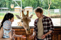 Bildunterschrift: Im Tier-Erlebnispark Bell kommen große und kleine Tierliebhaber auf ihre Kosten. Foto: Dominik Ketz/Hunsrück-Touristik GmbH/akz-o
