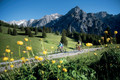 Bildunterschrift: E-Biken auf die Walderalm Foto: hall-wattens.at/akz-o