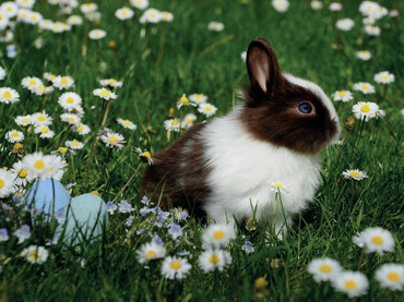 Genussvoll ins Osterfest: Stilfser Käse und Südtiroler Speck richtig lagern