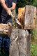 Bildunterschrift: Um den Kraftaufwand zu minimieren, sollte man beim Holzspalten zu speziellen Spaltäxten greifen. Foto: Krumpholz/akz-o