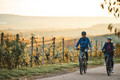Bildunterschrift: Radfahren im Herbst – Weinradwege HeilbronnerLand. Foto: Tourimia Tourismus GmbH/Stefan Leitner Photography/akz-o