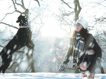 Hunde brauchen Sicherheit und Orientierung Hunde brauchen Sicherheit und Orientierung