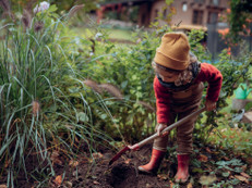 Wenn der Sommer zu Ende geht, ist im Garten noch lange nicht Schluss. Foto: Halfpoint/stock.adobe.com/Bund deutscher Baumschulen e. V./akz-o