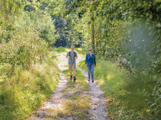 Entlang aller Themenwege vermitteln informative Thementafeln Wissenswertes über Flora und Fauna, Kulturgeschichte und landschaftliche Besonderheiten. So wird jede Wanderung zugleich zu einer kleinen Entdeckungsreise. Foto: Hohenlohe + Schwäbisch Hall Tourismus e.V./Bürgermeister/akz-o
