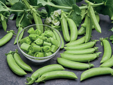 Pflanzliche Proteinpower liefern Gemüse wie die köstliche Zuckererbse Delikett. Foto: Kiepenkerl/akz-o Pflanzliche Proteinpower liefern Gemüse wie die köstliche Zuckererbse Delikett. Foto: Kiepenkerl/akz-o