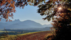 Bildunterschrift: Ein ganz besonderes Erlebnis – wenn die Berge im Abendlicht leuchten, wird jeder Moment magisch. Foto: Angelika Linder/Tourismusgemeinschaft Südliches Allgäu GbR/akz-o