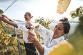 Bildunterschrift: Wein mit allen Sinnen erleben: Im Herbst wird im Land der 1000 Hügel nicht nur geradelt, sondern auch gelesen, probiert und genossen. Foto: Tourimia Tourismus GmbH/Stefan Leitner Photography/akz-o