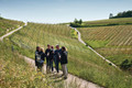 Bildunterschrift: Auch Wanderfreunde kommen im Lieblichen Taubertal auf ihre Kosten. Der Panoramaweg Taubertal eröffnet beeindruckende Ausblicke auf das Tal, Weinberge und romantische Orte. Foto: Tourimia Tourismus GmbH/Stefan Leitner Photography/akz-o