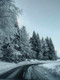 Bildunterschrift: Wer im Winter etwas mehr Zeit einplant, vorausschauend fährt und sich nicht von drängelnden Verkehrsteilnehmern unter Druck setzen lässt, ist meist deutlich entspannter unterwegs. Denn bei Schnee und Eis gilt besonders: Ankommen ist wichtiger als ein paar Minuten Zeitgewinn. Foto: pexels.com/ak-o