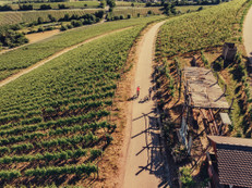 Weinradeln HeilbronnerLand Foto: Touristikgemeinschaft HeilbronnerLand/Chris Frumolt/akz-o