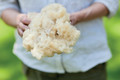 Bildunterschrift: Nach der Schur ins Beet: Schafwolle ist ein wertvoller Dünger. Besonders praktisch ist sie in Form von Pellets. Foto: Compo/akz-o