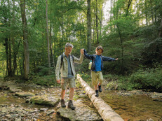 Entlang des Weges „Spuren der Vergangenheit“ liegt auch die Schmerachklinge, die mit ihrer charakteristischen Landschaft einen stimmungsvollen Eindruck der regionalen Natur vermittelt. Foto: Hohenlohe + Schwäbisch Hall Tourismus e.V./Bürgermeister/akz-o