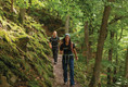 Bildunterschrift: Wandern auf dem Urwaldsteig Foto: Edersee Marketing GmbH/Markus Balkow/akz-o