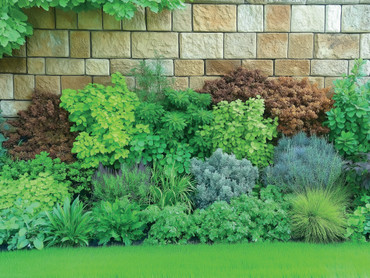 Heimat im Garten: Die Rückkehr heimischer Wildsträucher Heimat im Garten: Die Rückkehr heimischer Wildsträucher