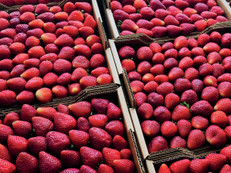 Karton ersetzt Plastik. Foto: pexels.com/FFI Fachverband Faltschachtel-Industrie e.V./akz-o