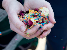 Foto: Carruthers & Hobbs/istockphoto.com/akz-o