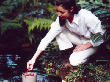Klares und sauerstoffreiches Wasser im Gartenteich