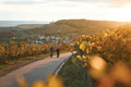 Bildunterschrift: Mit dem Rad durch die Weinlandschaft im Zabergäu. Foto: Tourimia Tourismus GmbH/Stefan Leitner Photography/akz-o