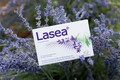 Bildunterschrift: Lasea -– das einzige in Deutschland zugelassene Arzenimittel auf Lavendelöl-Basis – überzeugt durch 15 klinische Studien. Foto: Dr. Willmar Schwabe/akz-o