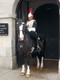 Bildunterschrift: Hingucker: Horse Guard in London. Foto: Jürgen Matthes Sprachreisen/akz-o
