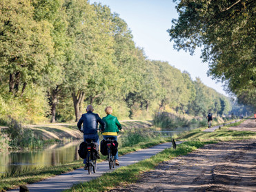 Natur pur auf dem Fahrradweg Nordhorn-Almelo Foto: VVV Nordhorn/akz-o
