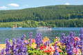 Bildunterschrift: Rund um den See bietet sich immer wieder ein wunderschöner Blick auf den See. Foto: Hochschwarzwald Tourismus GmbH/akz-o