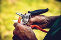 Bildunterschrift: Original Löwe-Produktmanager Jürgen Usinger bearbeitet die Amboss-Schere mit einem Hartmetallschärfer. Foto: Gebr. Schröder GmbH/akz-o