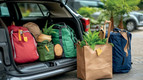 Bildunterschrift: Mitbringsel von der Reise bringen das Urlaubsgefühl mit nach Hause. Aber bei Pflanzen sollte man vorsichtig sein, da sie Schadorganismen enthalten können. Foto: sadewotito/stock.adobe.com/Bund deutscher Baumschulen (BdB) e.V./akz-o
