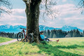 Bildunterschrift: Frühlingserwachen in den Bergen Foto: Theresa Jörg/Tourismusgemeinschaft Südliches Allgäu GbR/akz-o