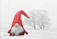 Bildunterschrift: Foto: pixabay.com/ak-o 