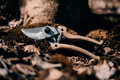 Bildunterschrift: Ausgewählte Modelle der Linie „Natural“ bietet Original Löwe mit einem handschmeichelnden Griff aus Hartholz. Foto: Gebr. Schröder GmbH/akz-o