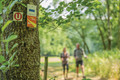 Bildunterschrift: Der Kocher-Jagst-Trail eignet sich ideal für flexible Wanderungen – von der Tagesetappe bis zum mehrtägigen Wanderurlaub. Foto: Hohenlohe + Schwäbisch Hall Tourismus e.V./Bürgermeister/akz-o