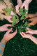 Bildunterschrift: In vier aufeinanderfolgenden Schulstunden beschäftigen sich die Schülerinnen und Schüler mit spannenden Fragestellungen rund um den Wald. Foto: pexels.com/akz-o
