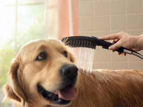 Saubere Fellnase – sauberes Zuhause: Ein separater „Mudroom“ macht die Reinigung tierfreundlich und hygienisch. Foto: hansgrohe/Hansgrohe SE/akz-o