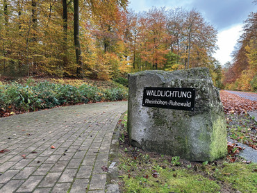 Feuerbestattung verstehen: Sicherheit, Würde und Abschied